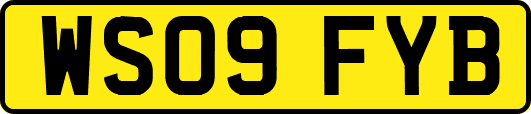 WS09FYB