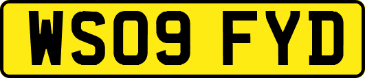 WS09FYD