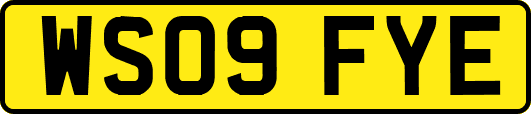 WS09FYE
