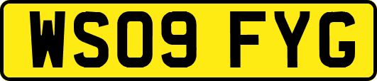 WS09FYG