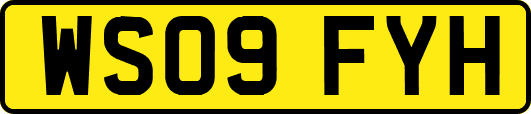WS09FYH