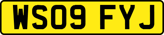 WS09FYJ