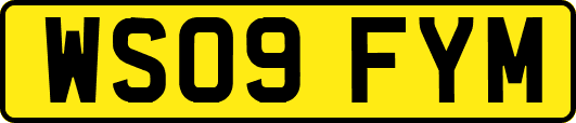 WS09FYM
