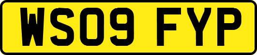WS09FYP