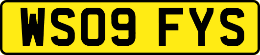 WS09FYS