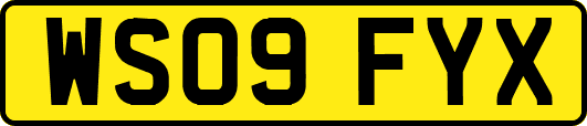 WS09FYX