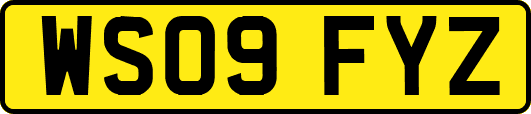 WS09FYZ
