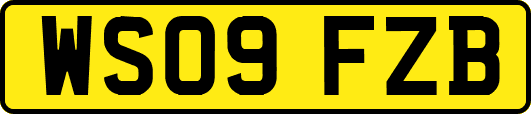 WS09FZB