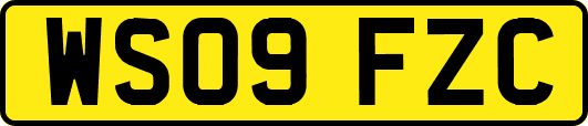 WS09FZC