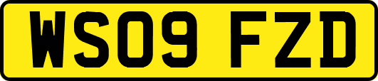 WS09FZD