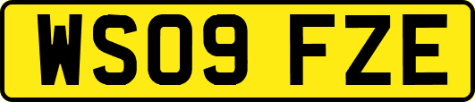 WS09FZE