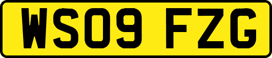WS09FZG