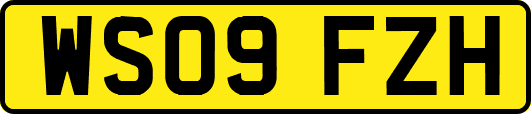 WS09FZH