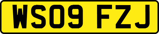 WS09FZJ