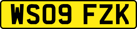 WS09FZK
