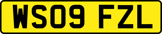 WS09FZL
