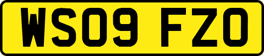WS09FZO