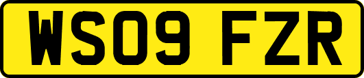 WS09FZR