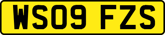 WS09FZS