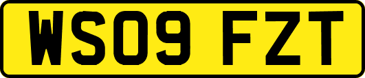 WS09FZT