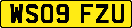 WS09FZU