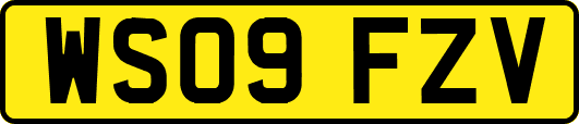 WS09FZV