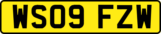 WS09FZW