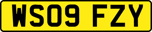 WS09FZY