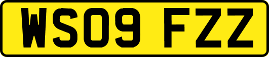 WS09FZZ