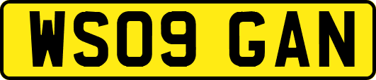 WS09GAN