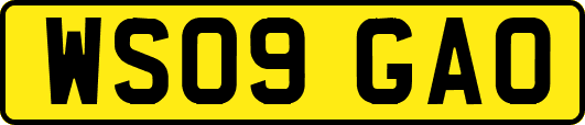 WS09GAO