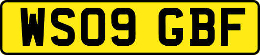 WS09GBF