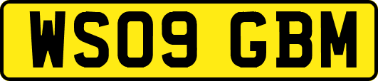 WS09GBM