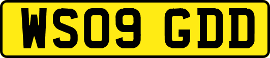 WS09GDD