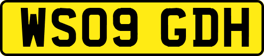 WS09GDH