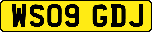 WS09GDJ