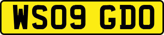 WS09GDO