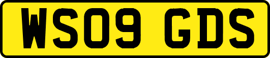 WS09GDS