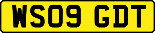 WS09GDT
