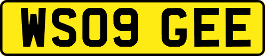 WS09GEE