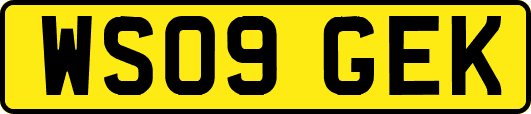 WS09GEK