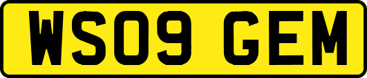 WS09GEM