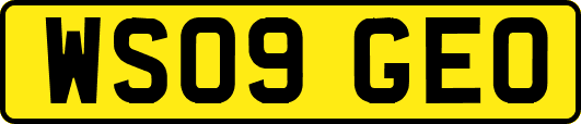 WS09GEO
