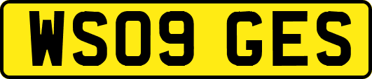 WS09GES