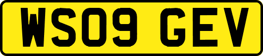 WS09GEV