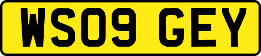 WS09GEY
