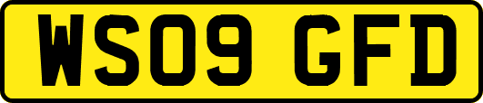 WS09GFD