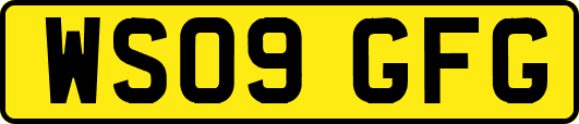 WS09GFG