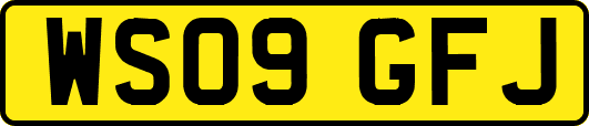 WS09GFJ