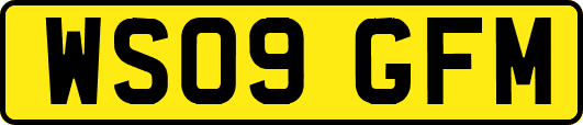 WS09GFM